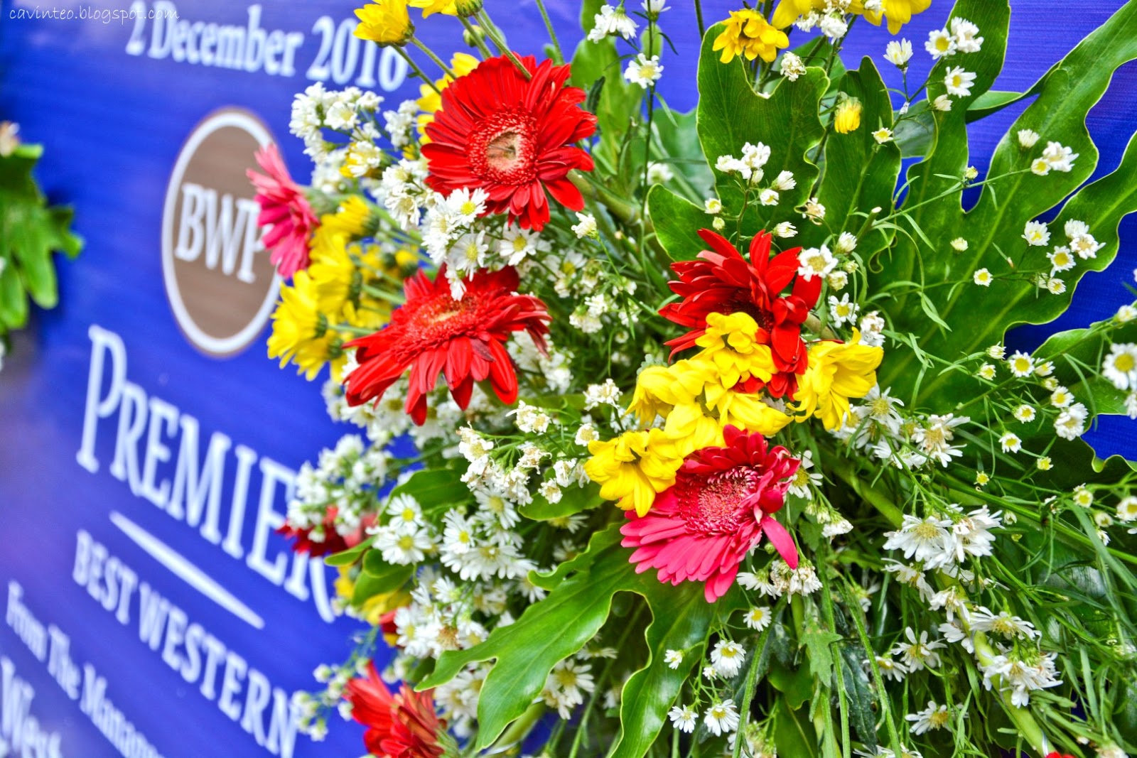 Bunga Papan Dukacita